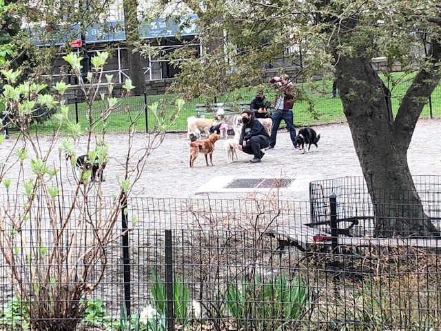 West 72nd St. Dog Run - Exploring The Upper West Side